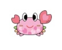 病院合同就職説明会(ナース専科主催)に参加します!